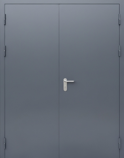 Двустворчатая противопожарная дверь с покраской серого цвета Двустворчатая противопожарная дверь с покраской серого цвета